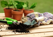 Prontuario per apprendisti giardinieri 14 0 In giardino